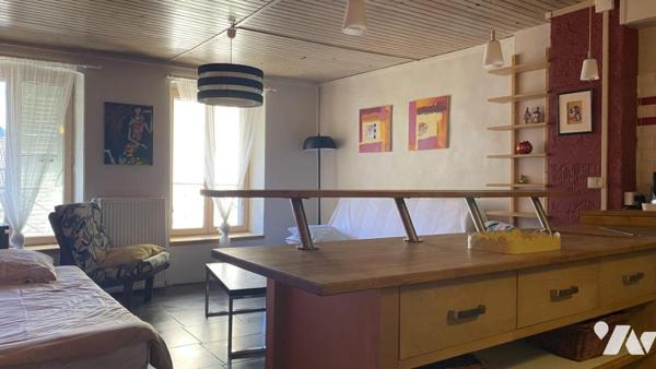 Immeuble entier composé de 5 appartements + 1 local professionnel + local technique + greniers dans 