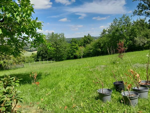 Terrain à vendre à Montcuq-en-Quercy-Blanc (46800) - Lot