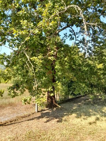 Terrain à vendre à Montcuq-en-Quercy-Blanc (46800) - Lot