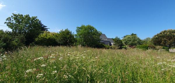 Terrain Saint Gildas De Rhuys 555 m2