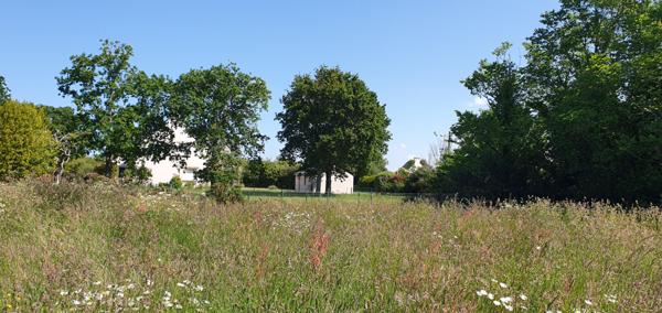 Terrain Saint Gildas De Rhuys 555 m2