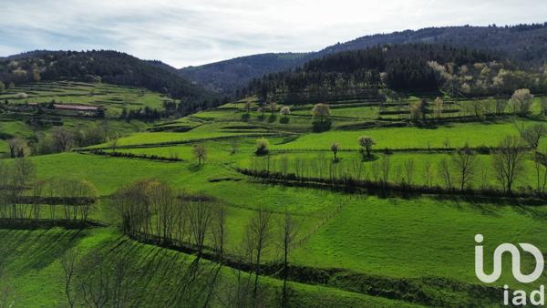 Maison à vendre 10 pièces 143 m² Satillieu