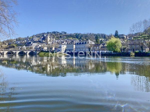 Maison Bourgeoise à vendre Terrasson Lavilledieu 280 m2, beaux volumes, 3 chambres dont une suite parentale, salon-salle à manger 60m2, Cuisine 20 m2, salle de détente 30m2, Garage 60m2, Dépendance 45m2, terrain arboré, Vue imprenable