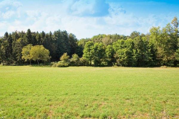TERRAIN CONSTRUCTIBLE DE 3 195M2