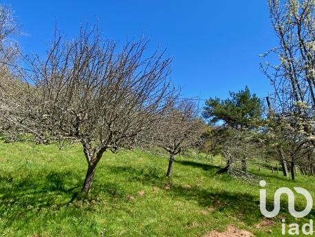 Maison à vendre 4 pièces 120 m² Collonges-la-Rouge