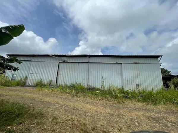 Vente Local commercial 631 m2 à Le Robert