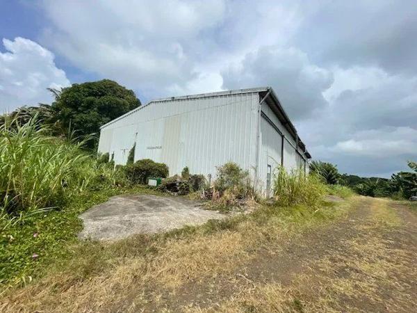 Vente Local commercial 631 m2 à Le Robert