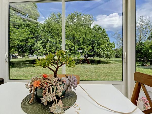 Maison de plain pied, 4 chambres à Lannes - Grand terrain dépendance et piscine
