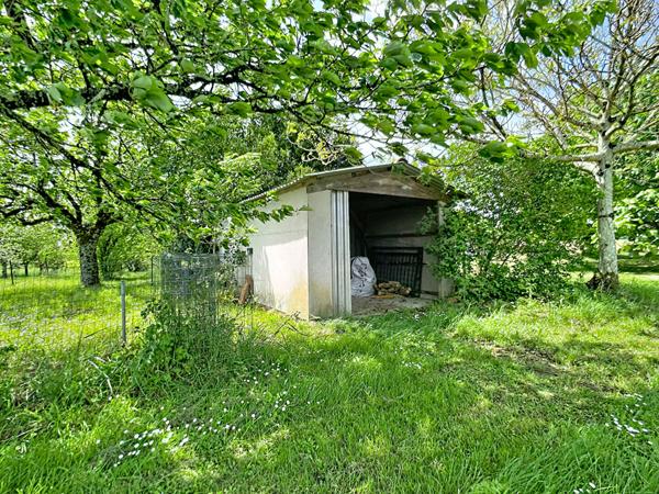 Maison de plain pied, 4 chambres à Lannes - Grand terrain dépendance et piscine