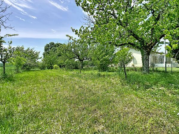 Maison de plain pied, 4 chambres à Lannes - Grand terrain dépendance et piscine