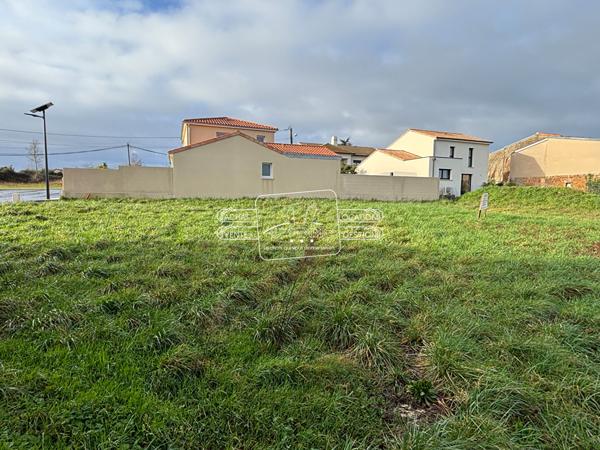 Terrain Oree D Anjou 595 m2, Oree d anjou 49270
