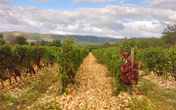 Maison à vendre    6 pièces •  La Roche-de-Glun