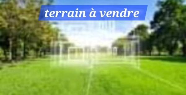 A VENDRE TERRAIN ACTIVITE