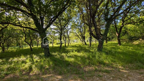Terrain de 1 200 m²