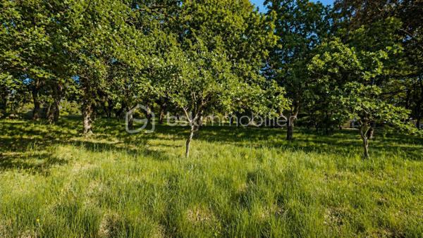 Terrain de 1 200 m²