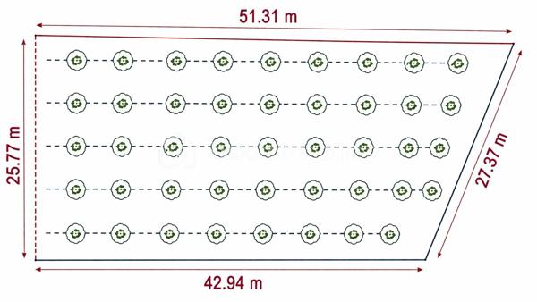 Terrain de 1 200 m²