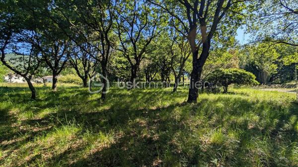 Terrain arboré de 1 200 m² – Environnement calme et préservé – Drôme provençale

Exclusivité. À 30 min Est de Montélimar, au cœur de la Drôme provençale, secteur proche Dieulefit, découvrez ce terrain constructible d’environ 1 200 m² situé dans un environnement particulièrement calme et verdoyant.

Hors lotissement, plat et arboré, il bénéficie d’une belle végétation naturelle offrant immédiatement intimité, fraîcheur et qualité de vie.

Ici, pas de nuisance sonore, pas de circulation dense, simplement un cadre paisible et préservé pour imaginer une maison tournée vers la nature.

Un bien rare pour ceux qui recherchent de l’espace, du calme et un environnement résidentiel qualitatif, tout en restant accessibles depuis Montélimar et à quelques minutes de Dieulefit.

Terrain borné.
Viabilités en bordure.
Libre constructeur.

Photo n°1 NON CONTRACTUELLE.

Informations et visites L’Immo by Céline PASCAL 06 63 10 02 35