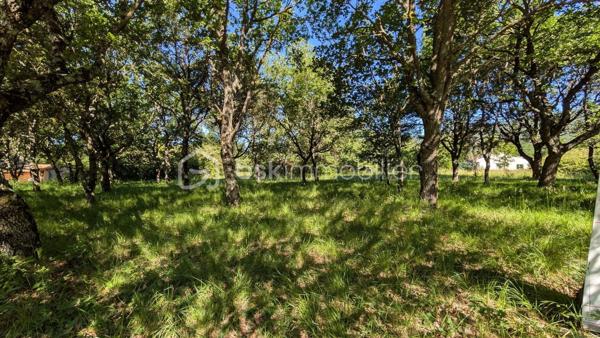 Terrain arboré de 1 200 m² – Environnement calme et préservé – Drôme provençale

Exclusivité. À 30 min Est de Montélimar, au cœur de la Drôme provençale, secteur proche Dieulefit, découvrez ce terrain constructible d’environ 1 200 m² situé dans un environnement particulièrement calme et verdoyant.

Hors lotissement, plat et arboré, il bénéficie d’une belle végétation naturelle offrant immédiatement intimité, fraîcheur et qualité de vie.

Ici, pas de nuisance sonore, pas de circulation dense, simplement un cadre paisible et préservé pour imaginer une maison tournée vers la nature.

Un bien rare pour ceux qui recherchent de l’espace, du calme et un environnement résidentiel qualitatif, tout en restant accessibles depuis Montélimar et à quelques minutes de Dieulefit.

Terrain borné.
Viabilités en bordure.
Libre constructeur.

Photo n°1 NON CONTRACTUELLE.

Informations et visites L’Immo by Céline PASCAL 06 63 10 02 35