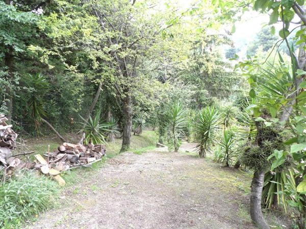 Propriété vue mer Vence comprenant 3 appartements piscine