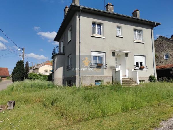 Vente                                                      Maison de village
                        
                     5 pièces                      133 m2                     à Grenant
