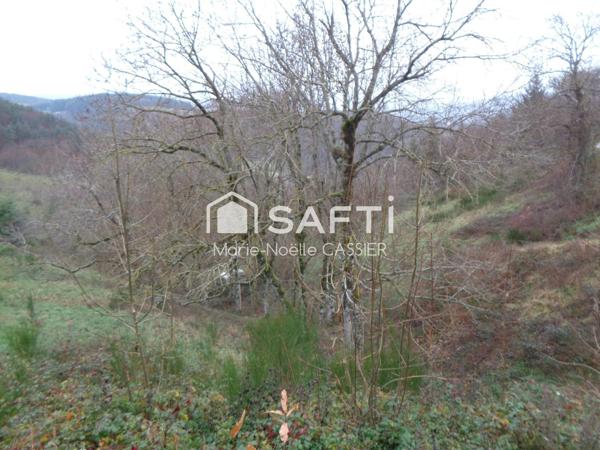 Située entre Lamastre et Vernoux en Vivarais, très belle ferme avec beau potentiel