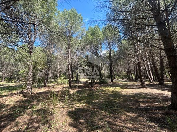 Propriété Le Cannet des Maures au milieu de 7 hectares