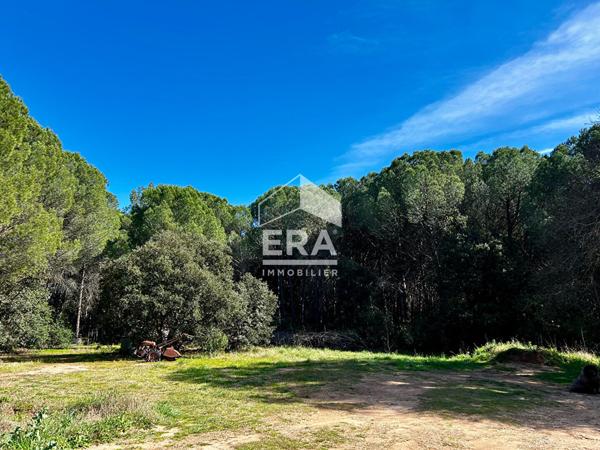 Propriété Le Cannet des Maures au milieu de 7 hectares