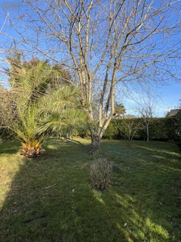 Maison à vendre à Fouesnant dans le Finistère (29170), ref : 29014-2884