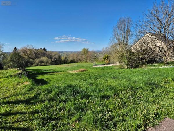 Achat - Terrain à bâtir Sainte-Féréole 19270 9488 m 2 12321 m 2