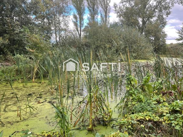 Terrain de loisirs 10323m² avec étang