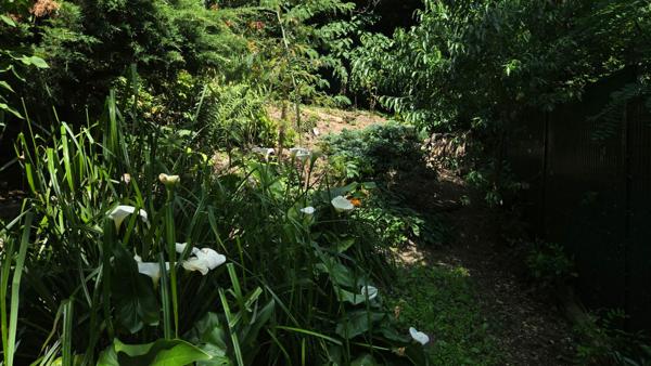 Maison ancienne bord de Loire Saint Denis de L'Hôtel.