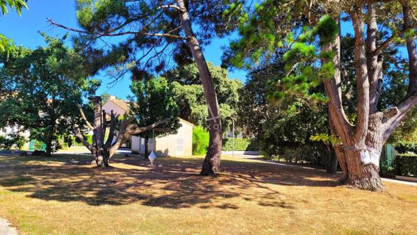 Coup de cur à 300 m de la plage !