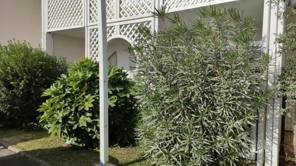 Appartement  2 pièce(s)  1 chambre(s)  29.22 m²