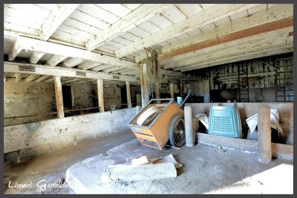 Ancien corps de ferme sur 6 hectares – Idéal pour projet équestre ou élevage canin Maison en pierre 4 chambres avec dépendances à PINEUILH (33