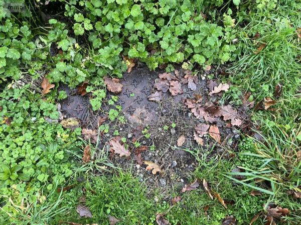 Achat - Terrain à bâtir Ploërmel 56800 517 m 2