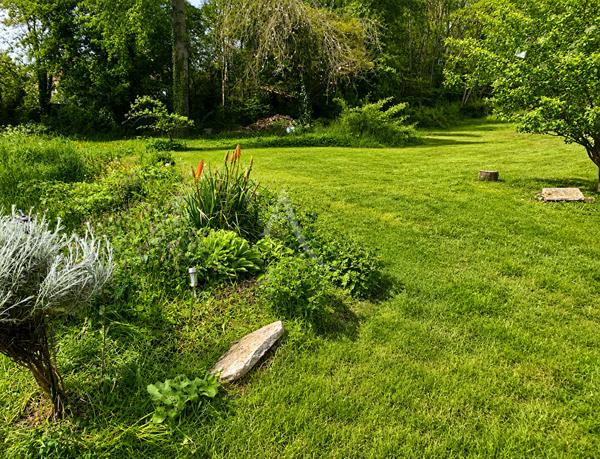 POMMEUSE MAISON BRIARDE DE CARACTÈRE, 3 CHAMBRES, PLUS DE 6 000 M² DE TERRAIN