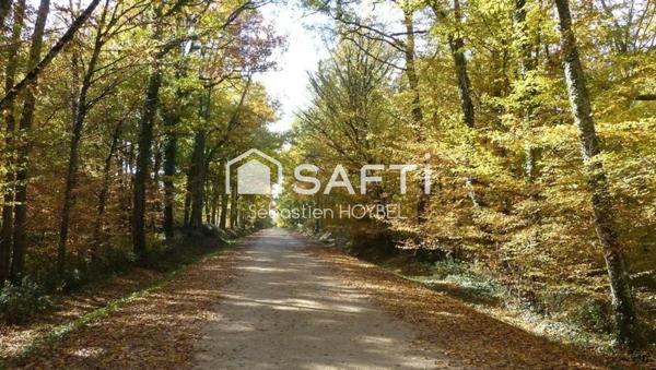 Terrain Constructible à Pibrac — Entre Nature, Commodités & Mobilité