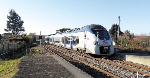 Terrain Constructible à Pibrac — Entre Nature, Commodités & Mobilité