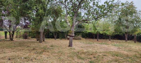 Maison en pierre sans travaux