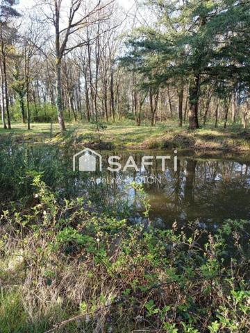 Terrain de loisir avec petit étang de -1 000 m²