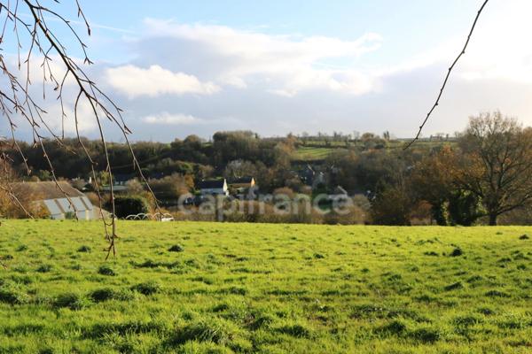 BIEN ATYPIQUE Maison à vendre 8 pièces EDERN (29) 200 m2 + Dependances
