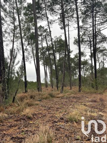 Terrain à vendre 27 140 m² Salles