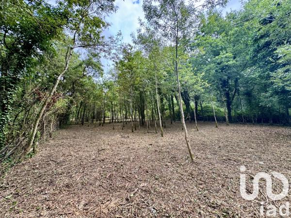 Terrain à vendre 1 791 m² Savigny-en-Véron