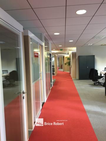Bureaux à louer à Saint-Priest environnement verdoyant accès autoroute A43