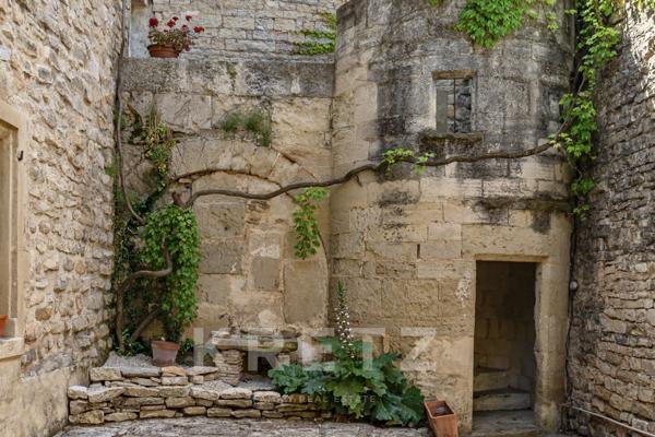 Ancien chateau du XIe siècle avec jardin au coeur du village