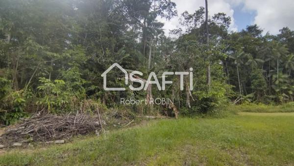 A VENDRE TERRAIN A BATIR