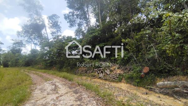 A VENDRE TERRAIN A BATIR