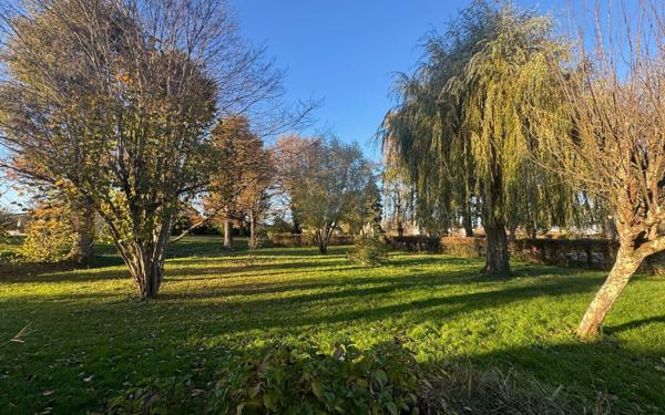 Terrain à vendre    Mézériat