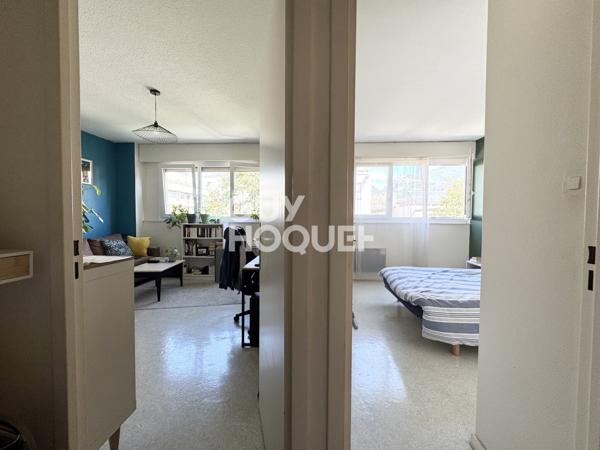 Grenoble – Idéal investisseur : Appartement T2 vendu loué avec cave, possibilité garage