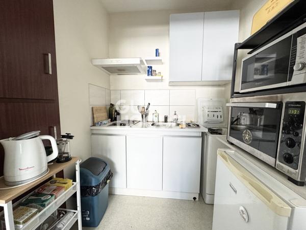 Grenoble – Idéal investisseur : Appartement T2 vendu loué avec cave, possibilité garage